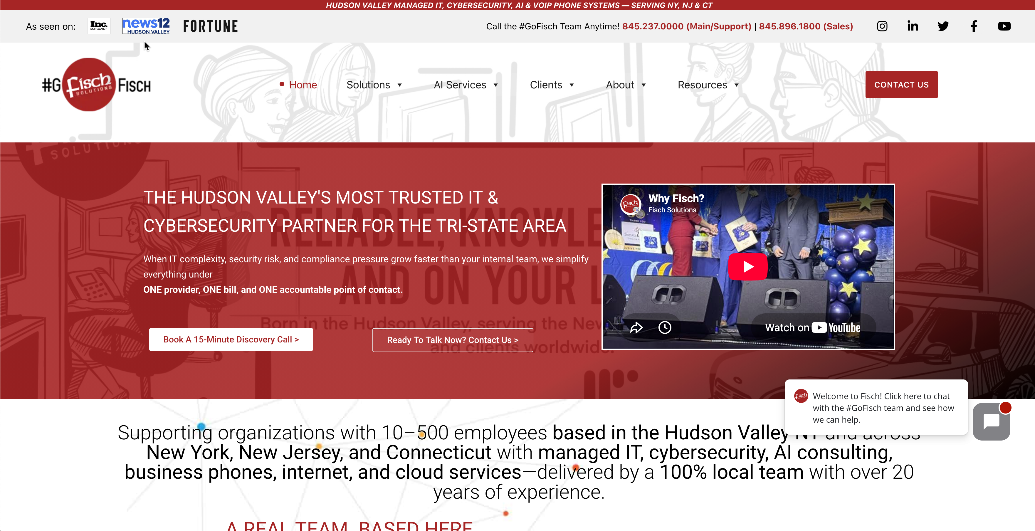 Fisch Solutions website